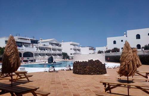 Flor De Cactus - Foto 6