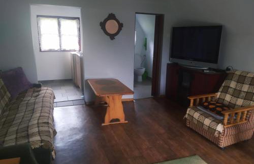 Agrowczasy u Bartka - Foto 20