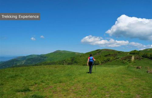 Tenuta Panoramica sulle Colline Toscane - Foto 49