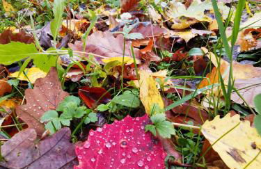 Ferienwohnung Löwenstern Niederstetten - Foto 32