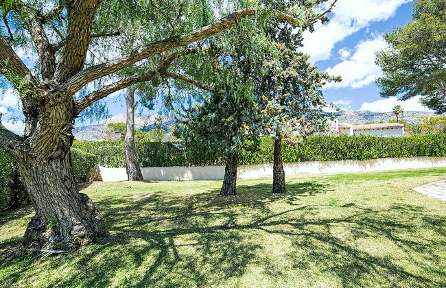 Luz y Paz - Photo 13