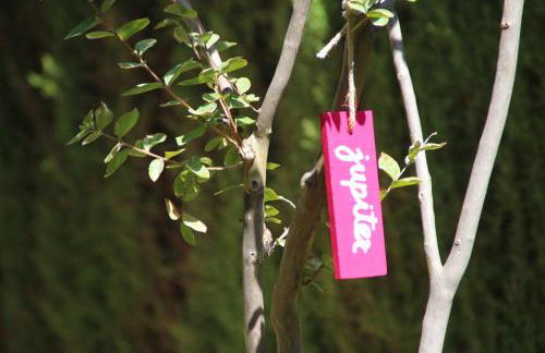 El jardín de la abuela - Foto 20