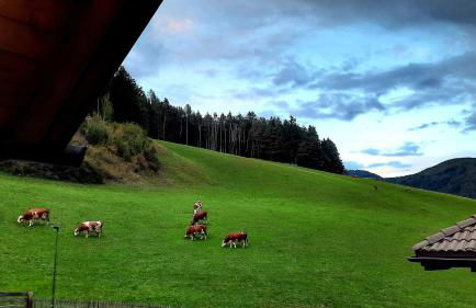 Landhaus Anita Dolomiten Kronplatz - Photo 17