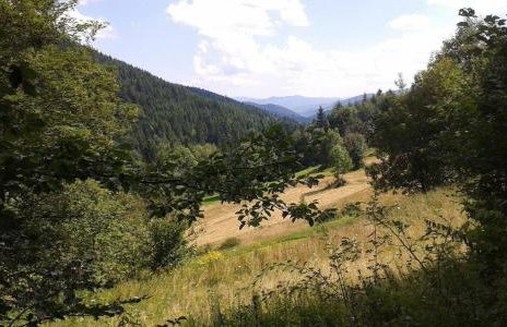 Hope Mountain Escape Poland, Charming Barrel House - Foto 7