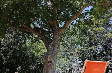 Appartamento Nina Glauco Casa Betania - Foto 14