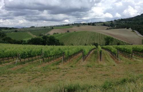 Agriturismo Podere la Cava - Foto 35