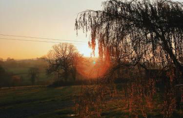 Lletty Ann wynn at Fraithwen Cottages - Foto 20