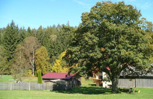 Ferienhof Stöhrmühle - Foto 64