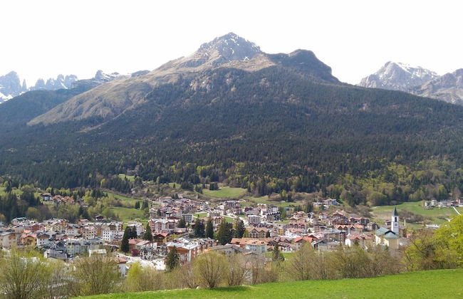 La Villa Dei Fiori - Photo 22