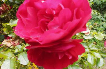 CountryHouse - Foto 5