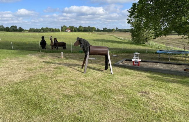 Old Tenne Under Reet in a Single Position - Photo 22