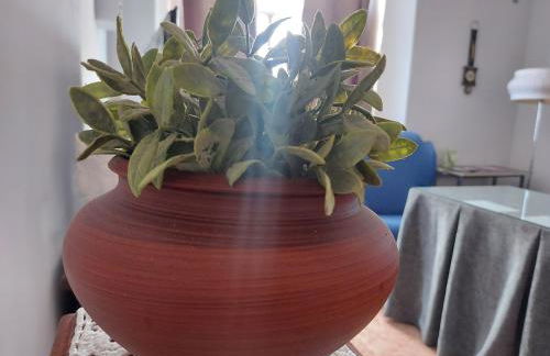 Corazón de Aguilar - Foto 6