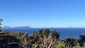 Bouganville in Villa Greco - Photo 3