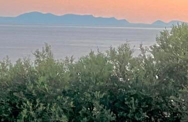 Judy holiday house - Foto 23