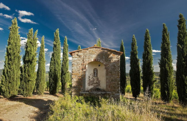 Castello di Volpaia - Foto 38