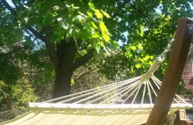 Dziki brzeg Jezioraka - Foto 25