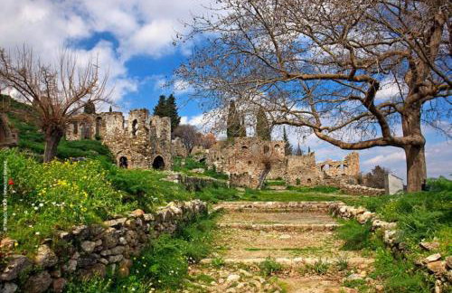 Olive and Orange Apartment - Foto 15