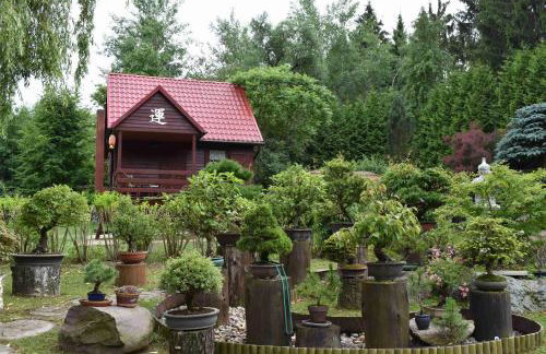 Ogród Shinrin Yoku Odpoczynek w Lesie - Foto 1