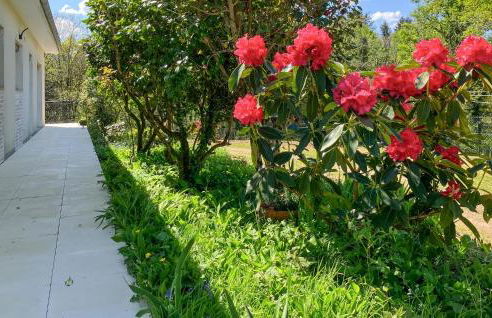 Cozy Home In Saint Saud Lacoussière - Foto 11