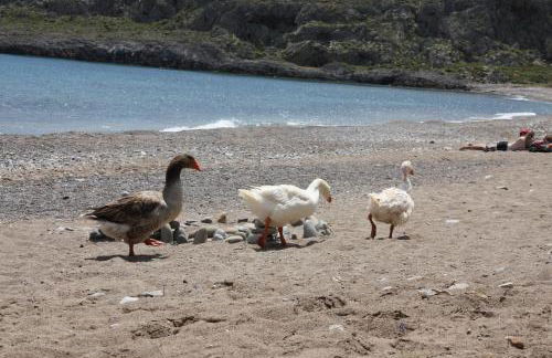 Villa Kalliopi ΙnCreteble Cretan Resindences Collection - Photo 51