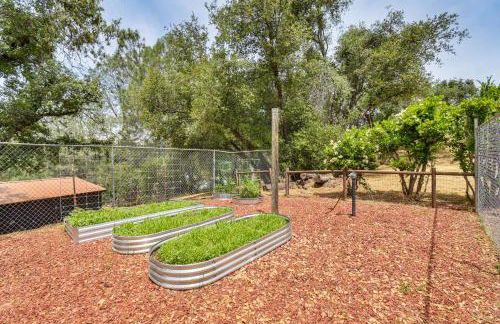 Yosemite Wellbeing Retreat on 5 Acres with Mtn Views - Photo 23