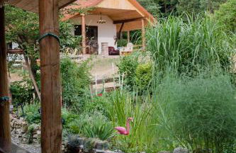 Agroturystyka Stara Huta - Foto 57