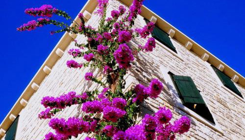 Villae Dalmaticae - Kastil - Photo 2