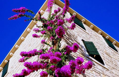 Villae Dalmaticae - Kastil - Photo 2