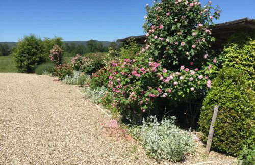 Rinidia Bio - Foto 16