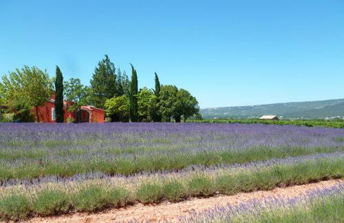 Luberon & Lavandes - Foto 36