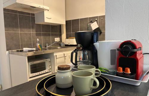 Studio garden and serenity, near Eurexpo and GroupamaStadium - Foto 9