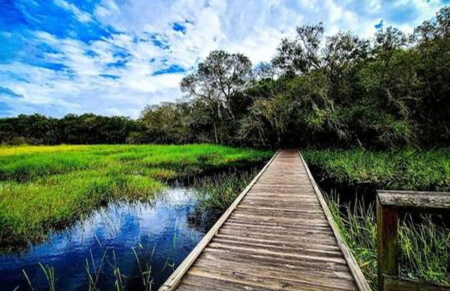 Florida Retreat Home w Fast-wifi Patio King Bed - Foto 39