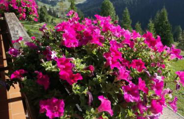 Chalet Relax - Foto 16