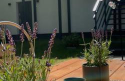 Harmony House - Appartement Blue - Photo 13