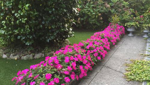 La Casona de Benito - Foto 4