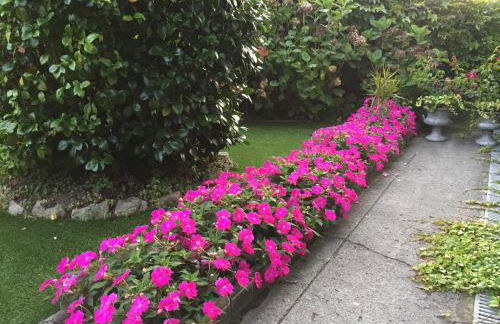 La Casona de Benito - Foto 4