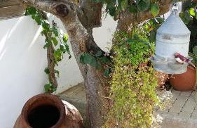 The Sun House - Foto 28