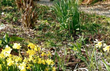 Pretty sunny cottage, Machynlleth - Photo 17