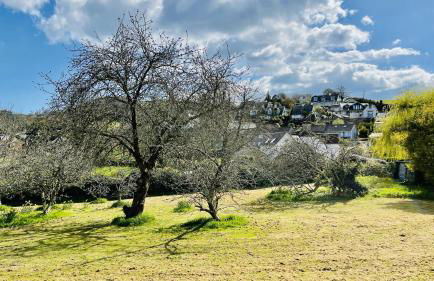 Primrose Cottage - South facing cottage in the heart of Dittisham - Foto 23
