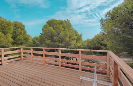 Mas de Caussagues, la Presqu'ile - Foto 28