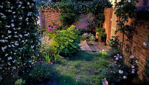 Venezia,Giudecca appartamento con giardino privato - Foto 1, Garden