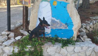 Residence Dolce Far Niente - Foto 3