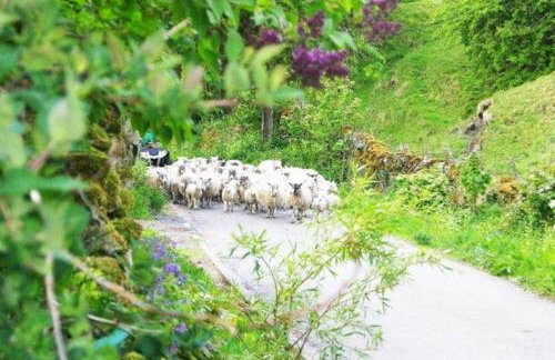 Butterfly Lodge quirky rural home stunning views - Photo 11
