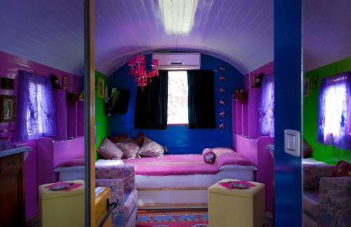 Azienda agricola Della Mezzaluna - Foto 2