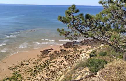 Olhos de Água Apartment Albufeira - Foto 42