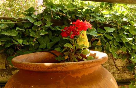 Angela's River Paradise Cottages - Foto 39