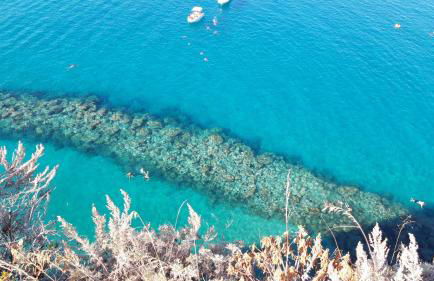 Villa NOVE - Residence dei Fiori - Foto 53