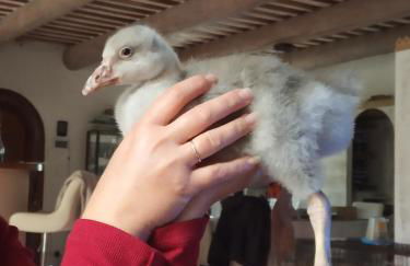 le Mas de la Jardine - Foto 69