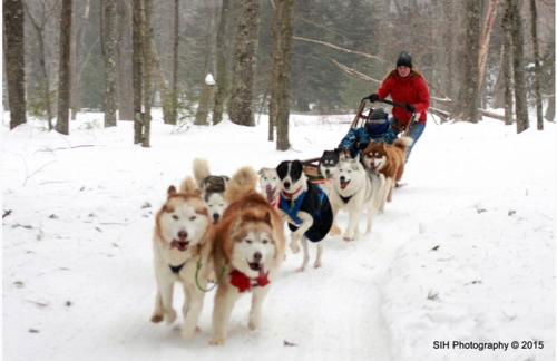 Pocono cabin with hot tub and private pool at Shawnee Mtn - Foto 67