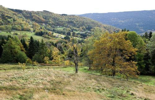 Gîte la Croisée Pierre - Foto 13